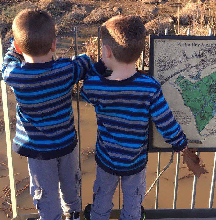 THE RELIEF OF A DIAGNOSIS