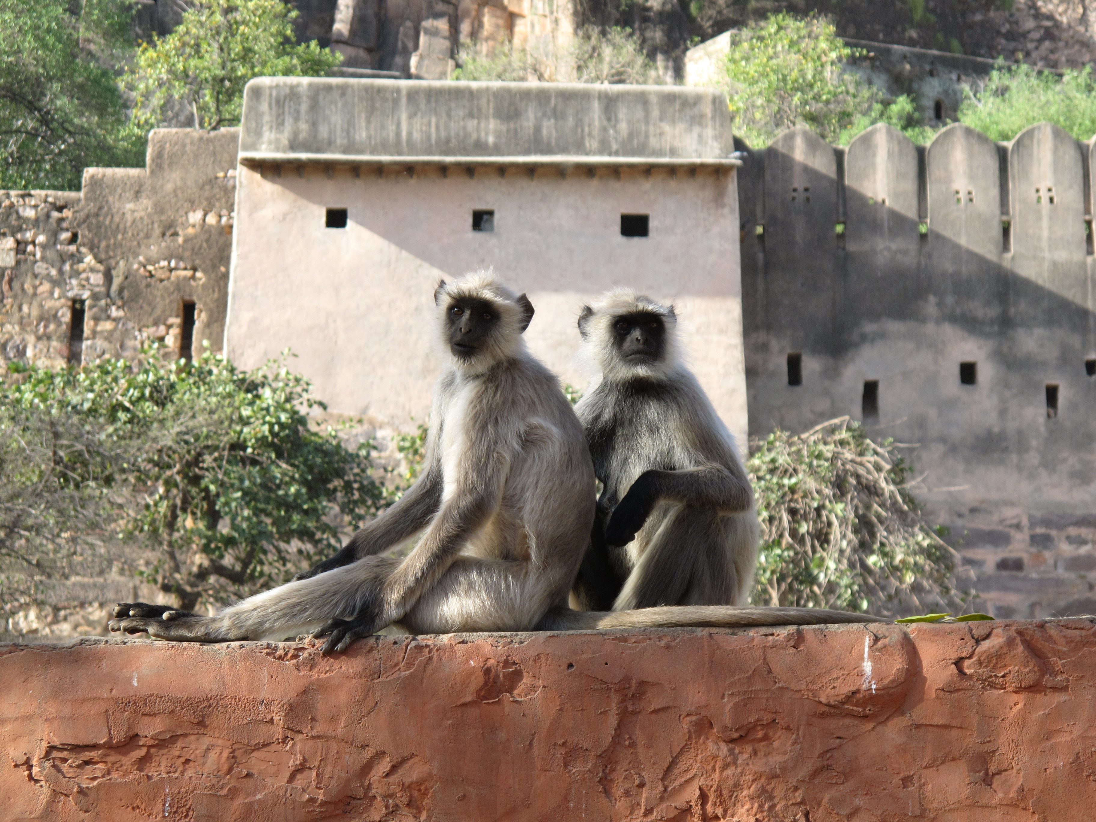 HOW TO LOSE FRIENDS AND ALIENATE PEOPLE