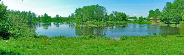 ACCESSING OUR PARKS – FOR FREE!